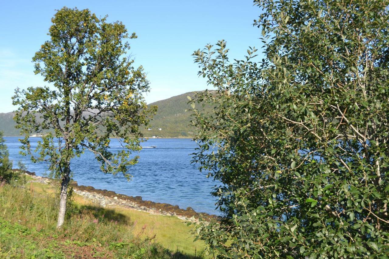 Kvaloya Lodge Futrikelv Esterno foto